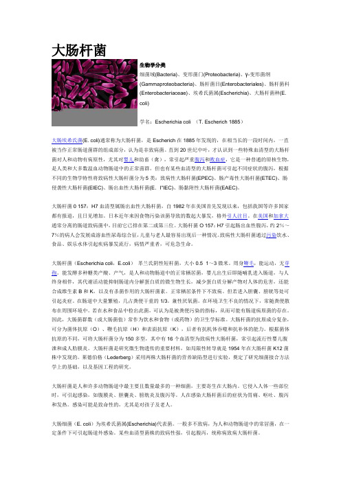 大肠杆菌