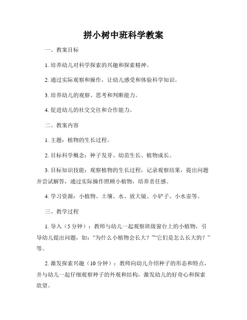 拼小树中班科学教案