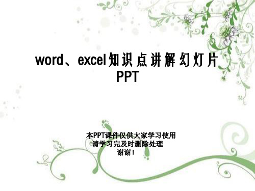 word、excel知识点讲解幻灯片PPT