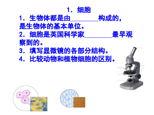 青岛版六年级科学(下册)总复习课件