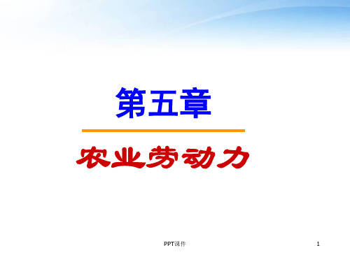 农业经济学-农业劳动力  ppt课件