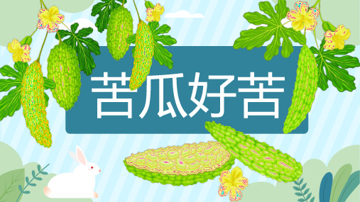 创意绘画-苦瓜好苦-美术教案PPT课件