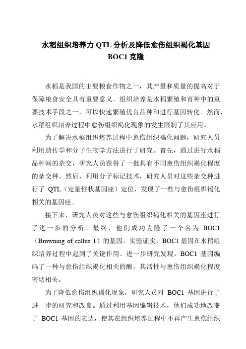 水稻组织培养力QTL分析及降低愈伤组织褐化基因BOC1克隆