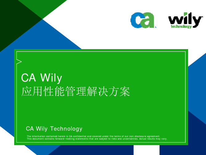 CA Wily应用性能管理解决方案