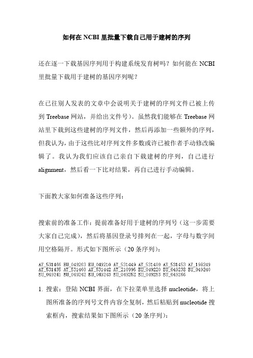 如何在NCBI里批量下载用于建树的序列