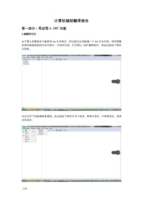 计算机辅助翻译报告