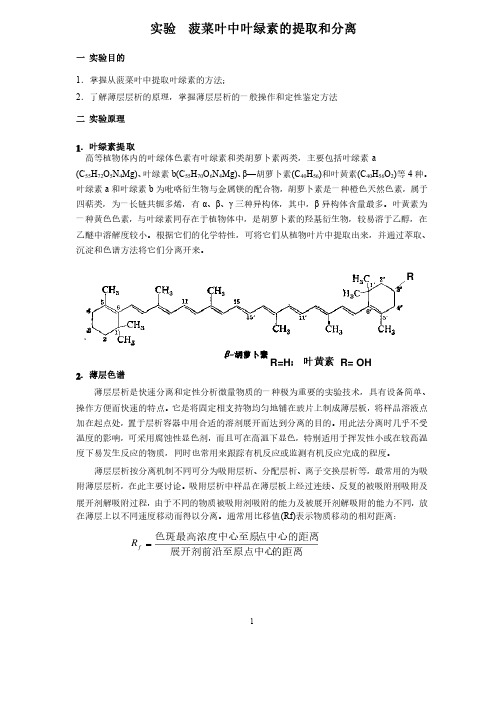 菠菜叶中叶绿素的提取和分离