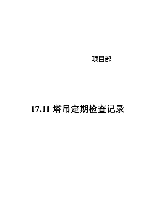 17.11塔机定期检查记录