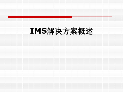 IMS解决方案概述