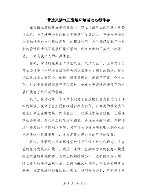 营造风清气正发展环境活动心得体会