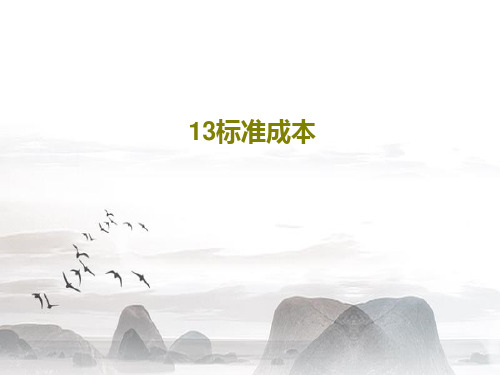13标准成本42页PPT