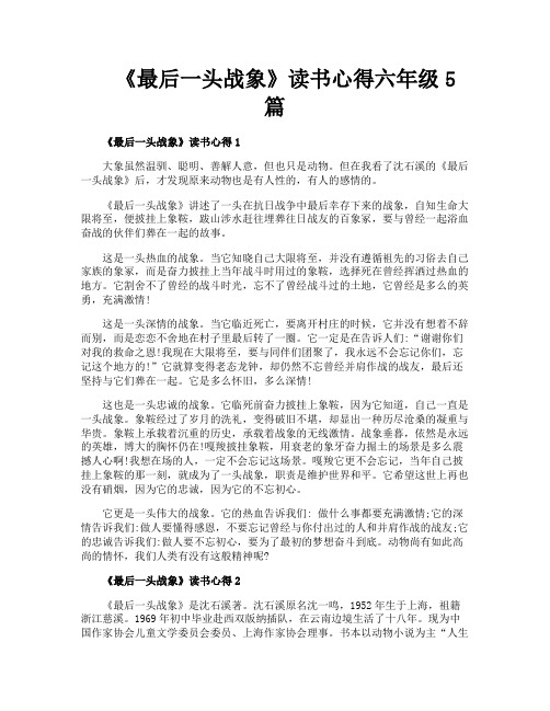 《最后一头战象》读书心得六年级5篇