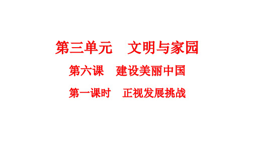 正视发展挑战-----部编版道德与法治九年级上册