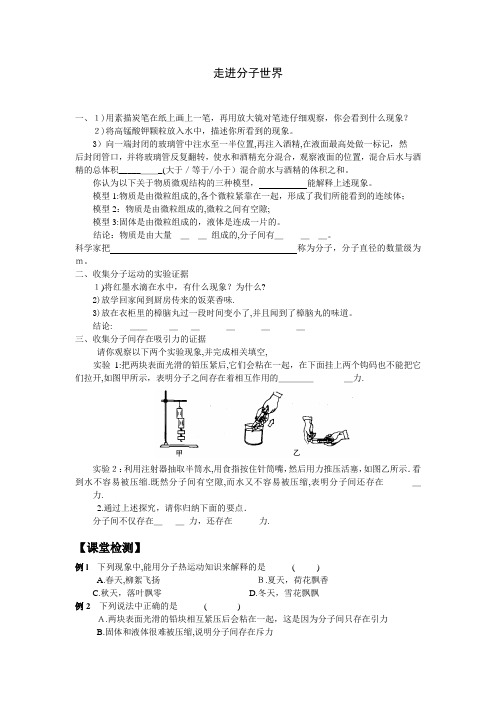 自-初二物理第七章第一节走进分子世界 