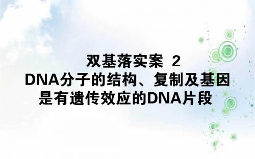2019版高考生物一轮复习方略课件:第六单元 遗传的分子基础2.2.2