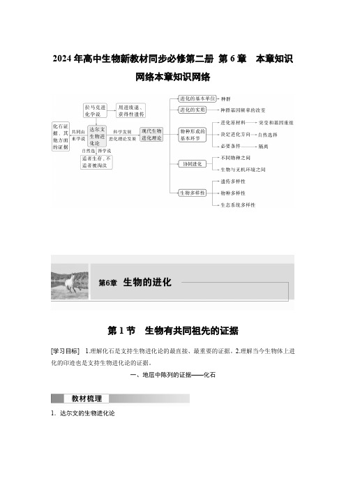 2024年高中生物新教材同步必修第二册 第6章 本章知识网络