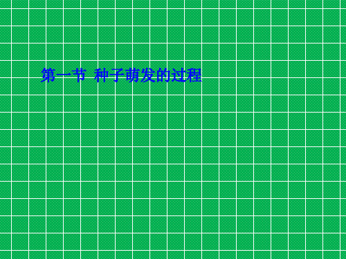 冀教版八年级生物上册3.1.1种子萌发的过程(课件2)