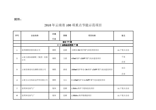 2010年云南省节能改造100个重点项目