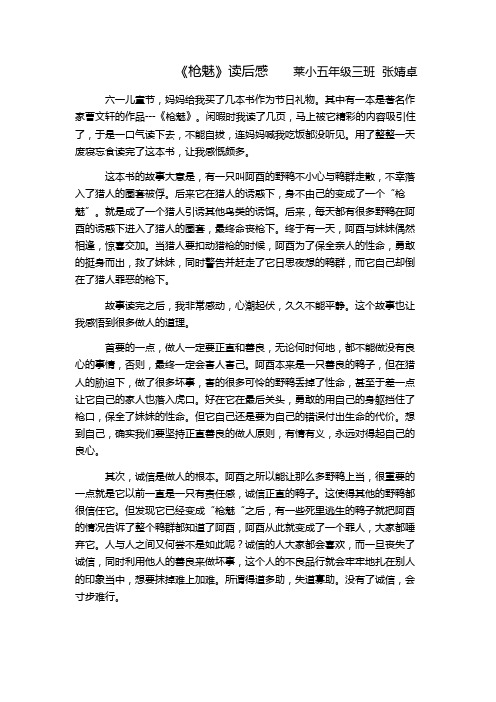 《枪魅》读后感