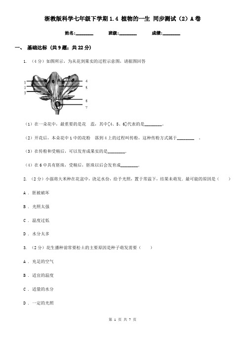 浙教版科学七年级下学期1.4植物的一生同步测试(2)A卷