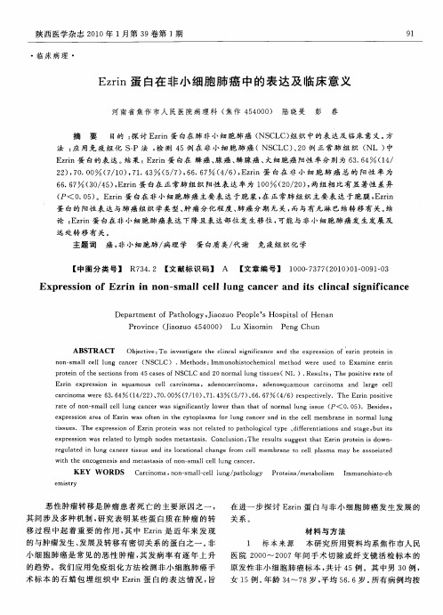 Ezrin蛋白在非小细胞肺癌中的表达及临床意义