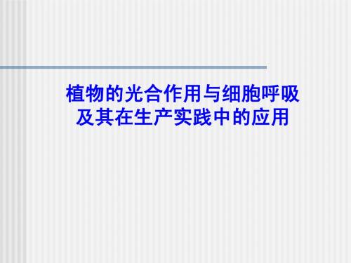 人教版教学课件云南省弥勒县庆来中学2011-2012学年高一生物 植物的光合作用与细胞呼吸(课件)