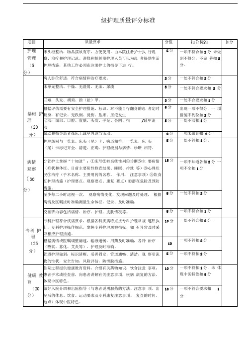 二级护理质量考核标准