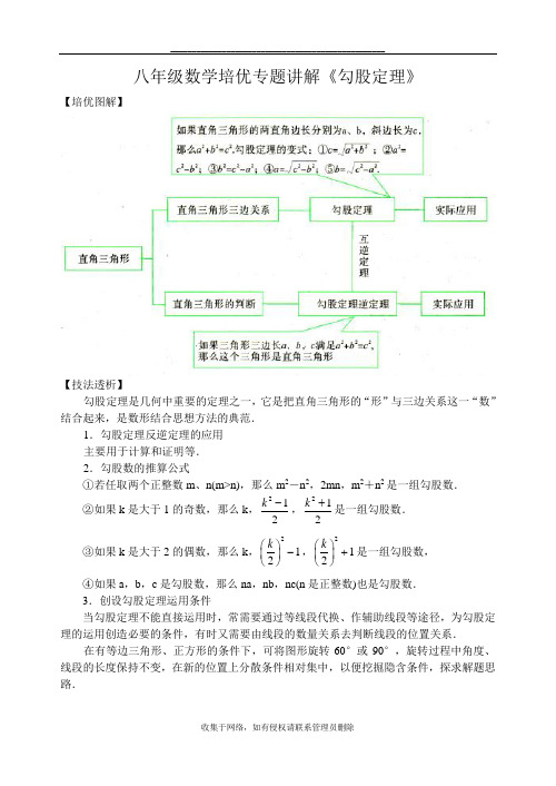 最新八年级数学培优专题讲解《勾股定理》