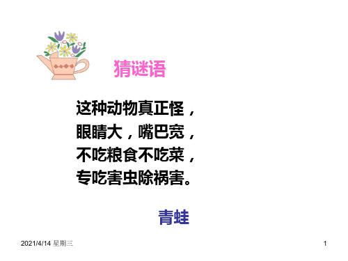 苏教版二年级语文上册9青蛙看海课件