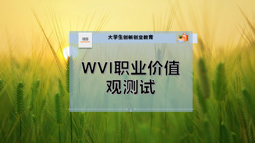 WVI职业价值观测试