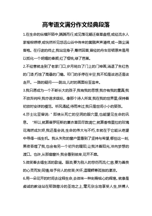 高考语文满分作文经典段落