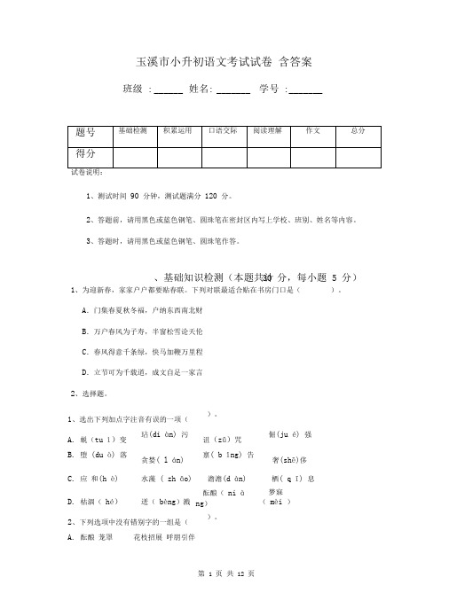 玉溪市小升初语文考试试卷含答案