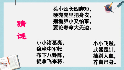 新人教版七年级语文上册23绿色蝈蝈ppt优质课件