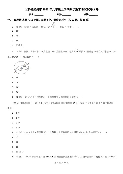 山东省滨州市2020年九年级上学期数学期末考试试卷A卷