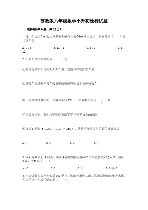 苏教版六年级数学小升初检测试题附参考答案【模拟题】