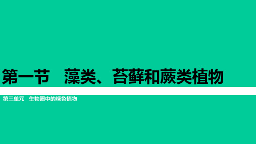 人教版七年级3.1.1藻类、苔藓和蕨类植物课件 (共29张PPT)