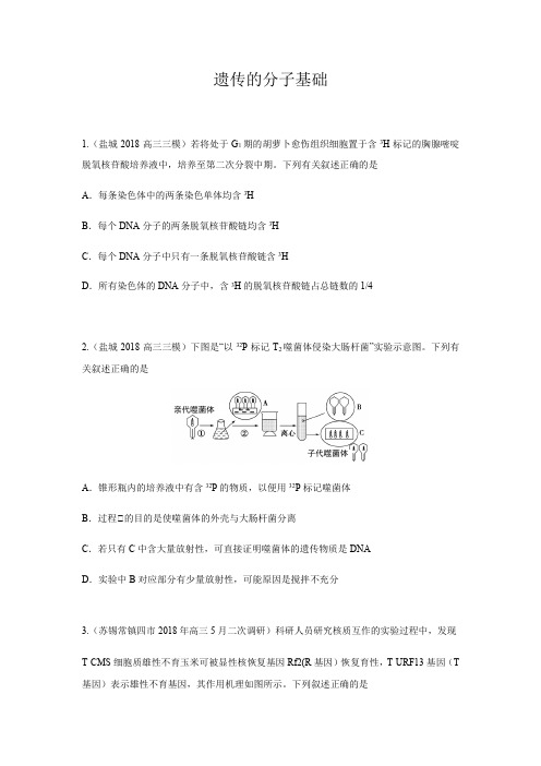 2018年4-6月份江苏部分地市高三生物模拟分项汇编6-遗传的分子基础