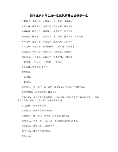 四字成语名什么双什么意思是什么成语是什么