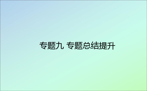 2021高考历史一轮复习专题九走向世界的资本主义市场专题总结提升课件人民版