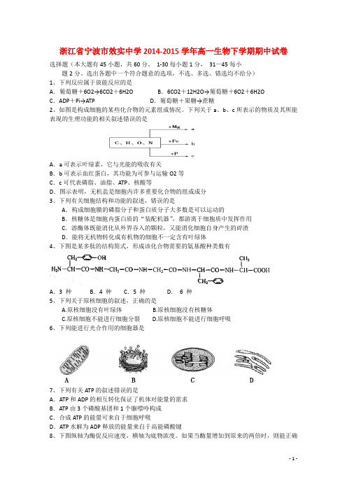 浙江省宁波市效实中学高一生物下学期期中试卷