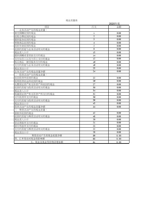 民办非企业财务报表-现金流