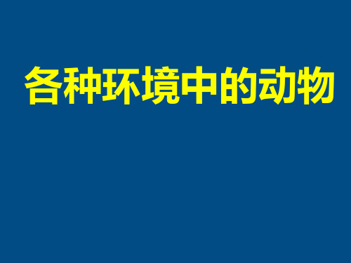 八年级生物上册 水中生活的动物课件 人教新课标版