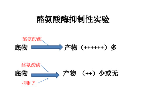 酪氨酸酶抑制剂筛选