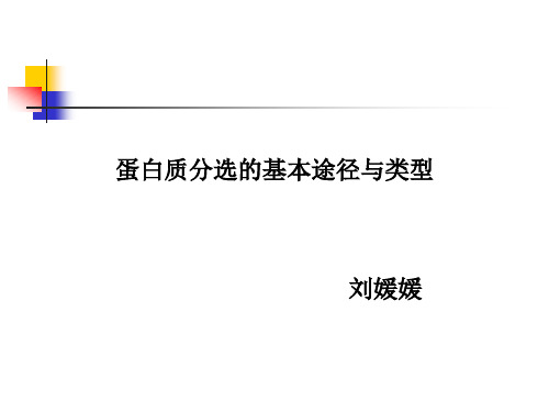 蛋白质分选的基本途径与类型