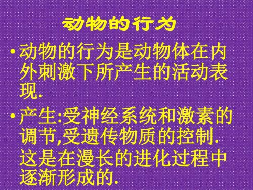 《动物的行为》课件1(29页)(济南版七年级上)