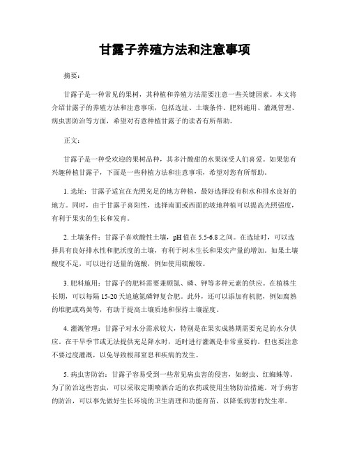 甘露子养殖方法和注意事项