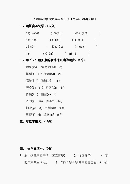 长春版小学语文六年级上册【生字、词语专项】(2)