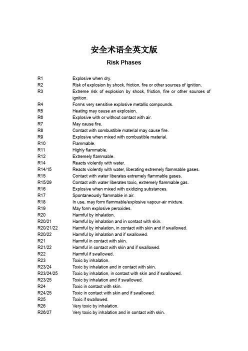 Risk phases 安全术语全英文版