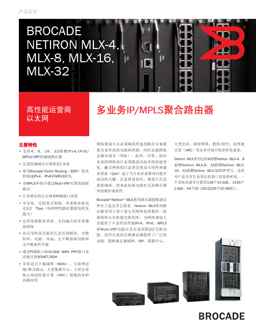 BROCADE NETIRON MLX-4, MLX-8, MLX-16, MLX-32 说明书