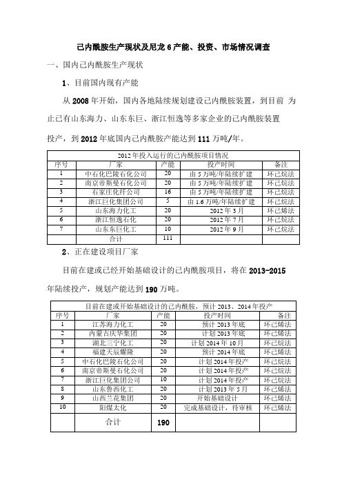 国内己内酰胺及尼龙6生产现状